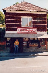 12.jpg  12